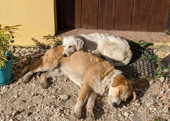 Casa de Férias Valvida *